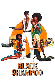 دانلود فیلم شامپو مشکی Black Shampoo 1976 دوبله فارسی